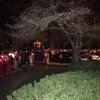 2016stmarkholyweek011